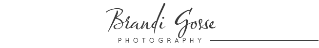 Brandi Gosse Photography